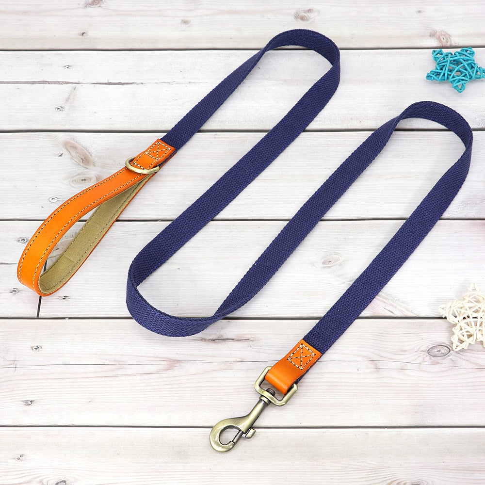 Custom Genuine Leather & Nylon Collar / Leash