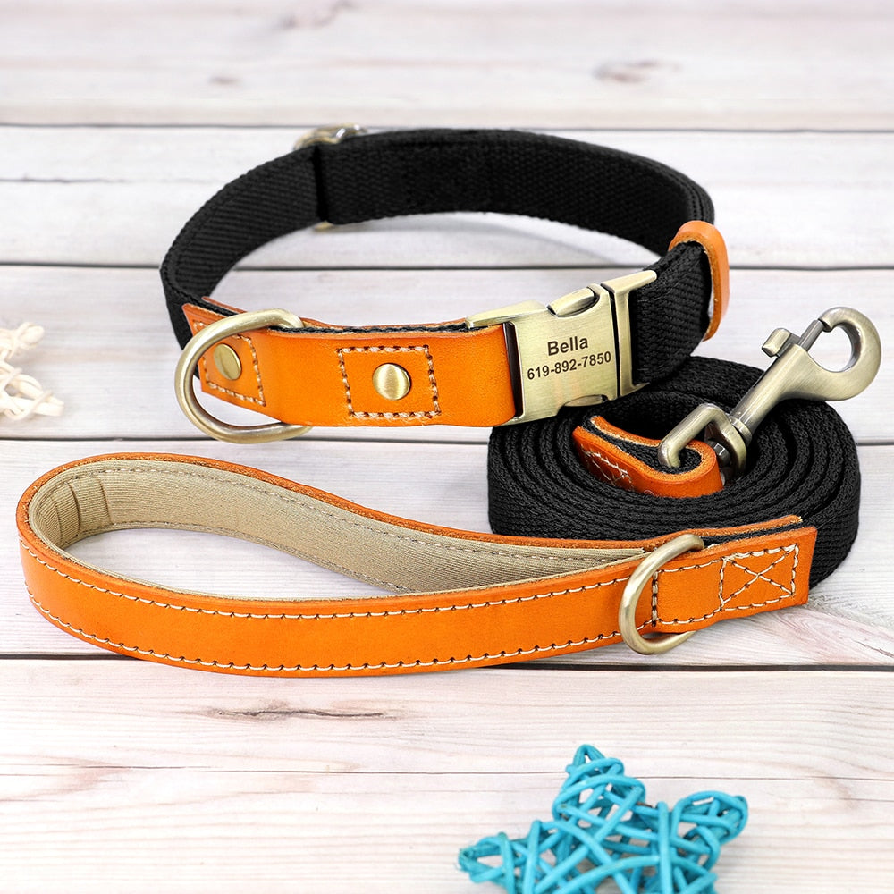 Custom Genuine Leather & Nylon Collar / Leash