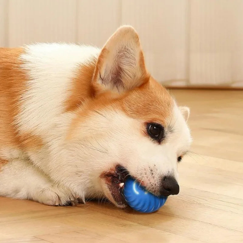 Interactive Puppy Ball