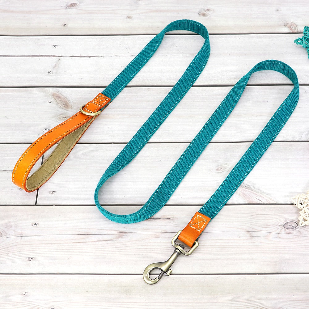 Custom Genuine Leather & Nylon Collar / Leash