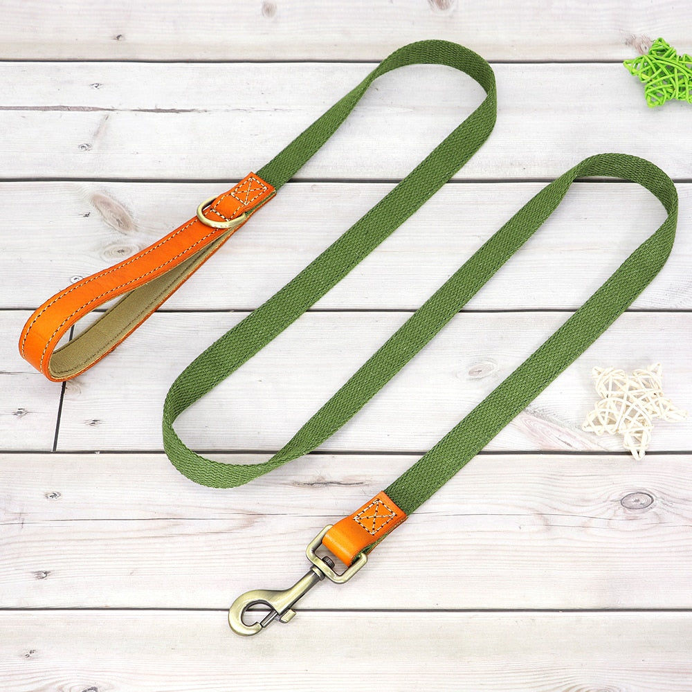 Custom Genuine Leather & Nylon Collar / Leash