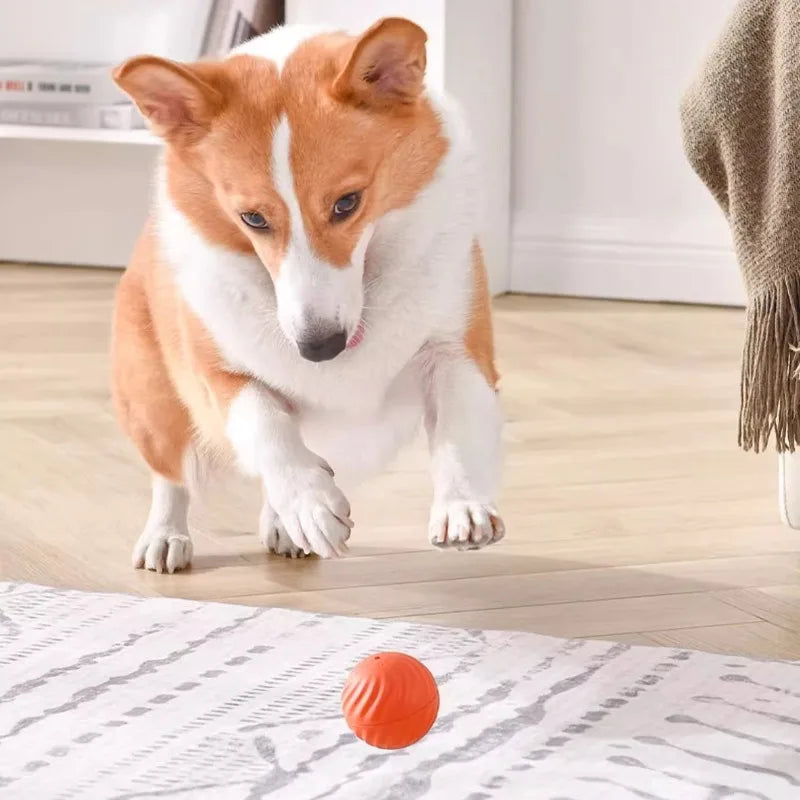 Interactive Puppy Ball
