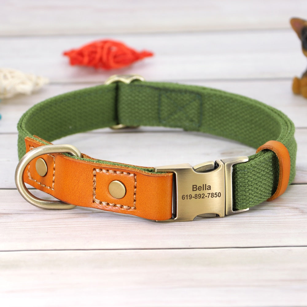 Custom Genuine Leather & Nylon Collar / Leash