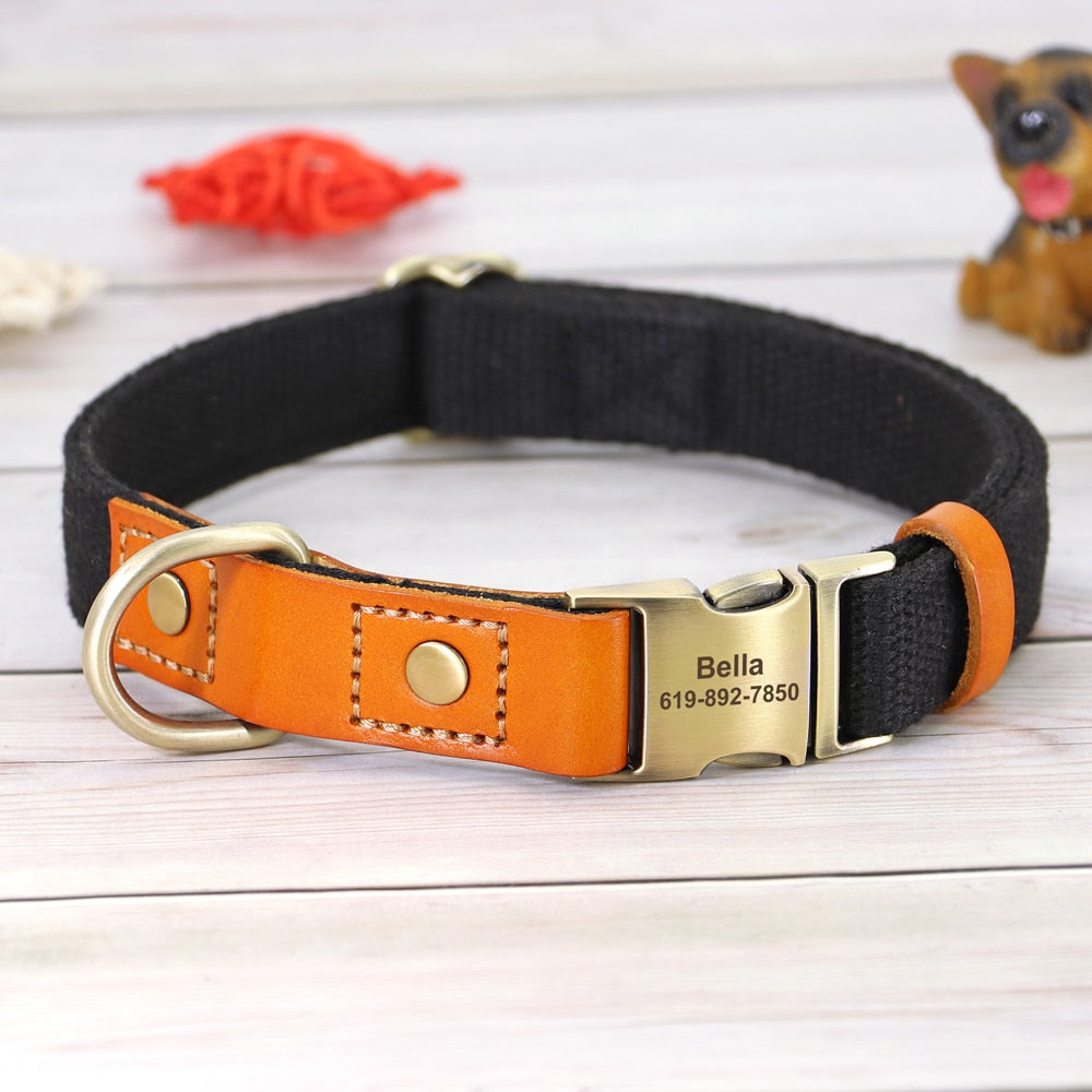 Custom Genuine Leather & Nylon Collar / Leash