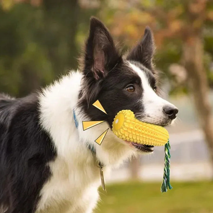 Corn on the Cob Chew Toy