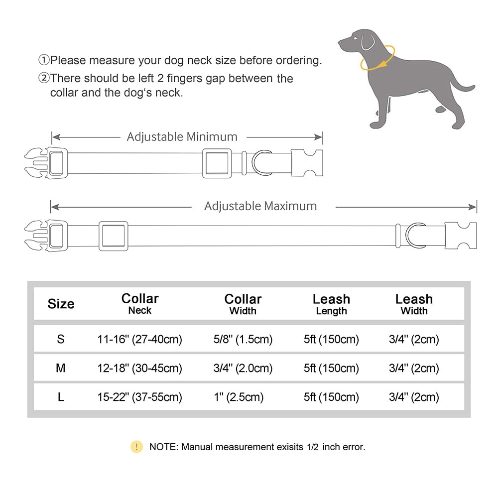 Custom Genuine Leather & Nylon Collar / Leash
