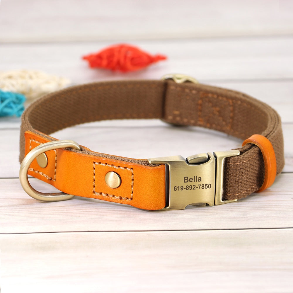 Custom Genuine Leather & Nylon Collar / Leash