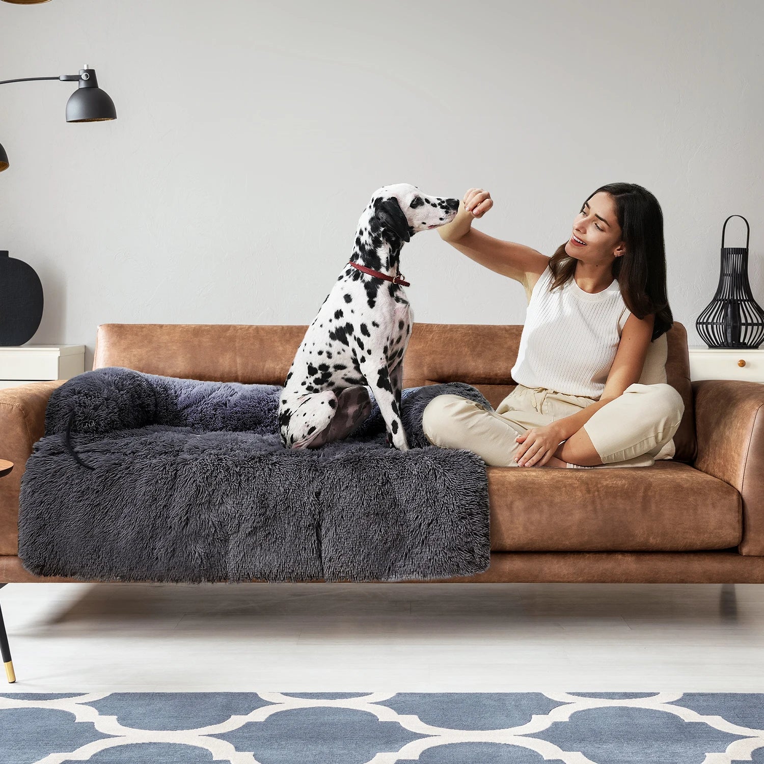 Dog Sofa Blanket 
