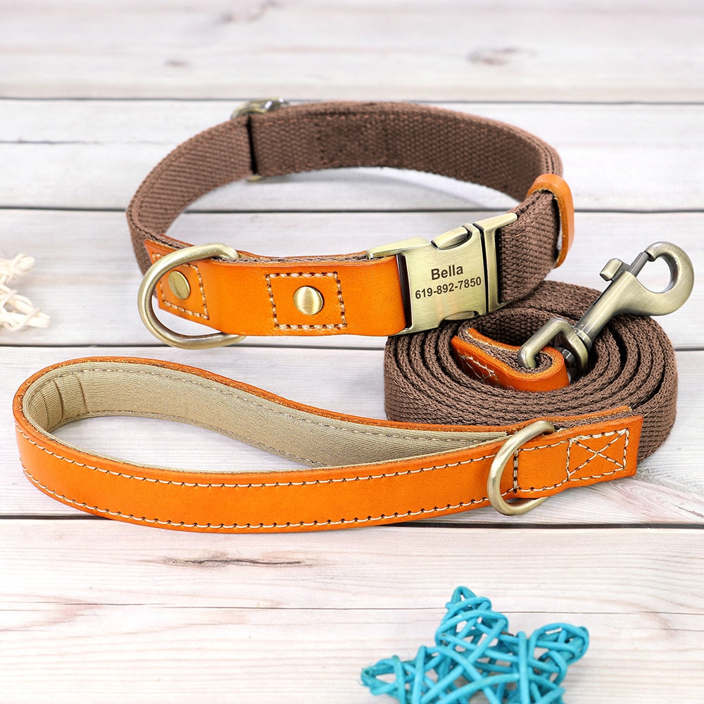 Custom Genuine Leather & Nylon Collar / Leash
