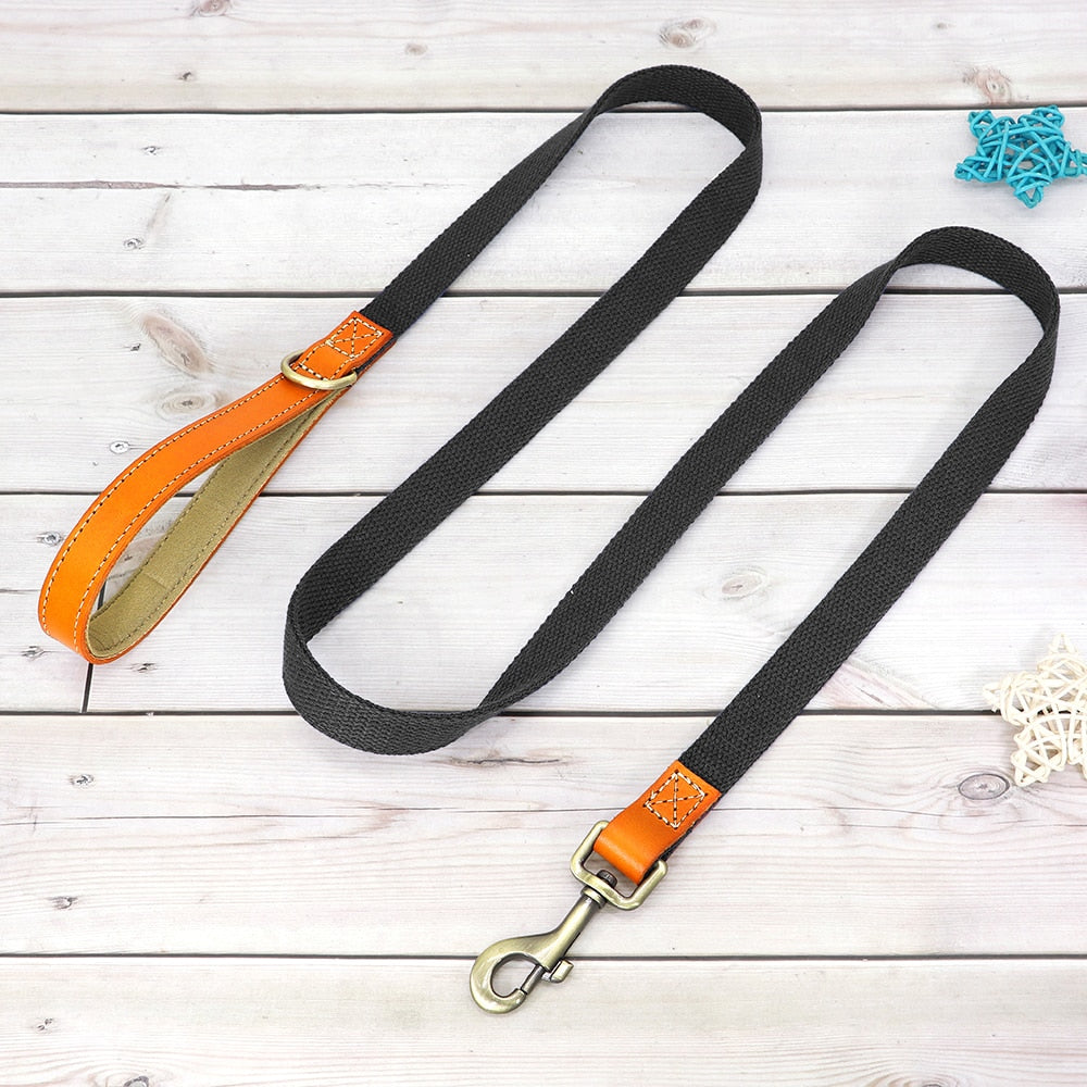 Custom Genuine Leather & Nylon Collar / Leash