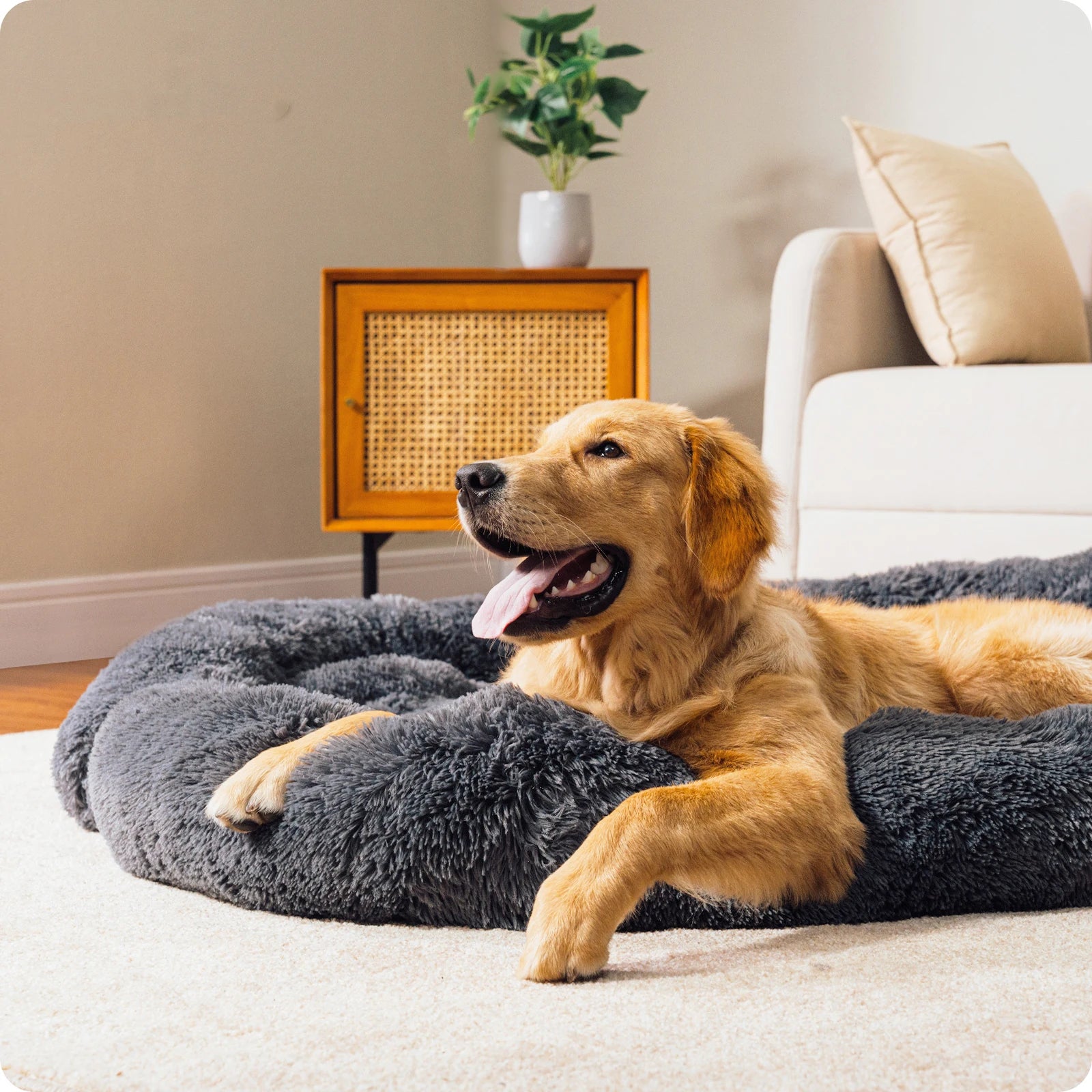 Dog Sofa Blanket 