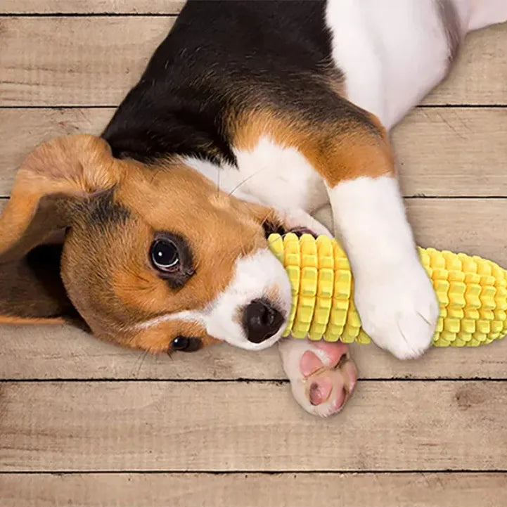 Corn on the Cob Chew Toy