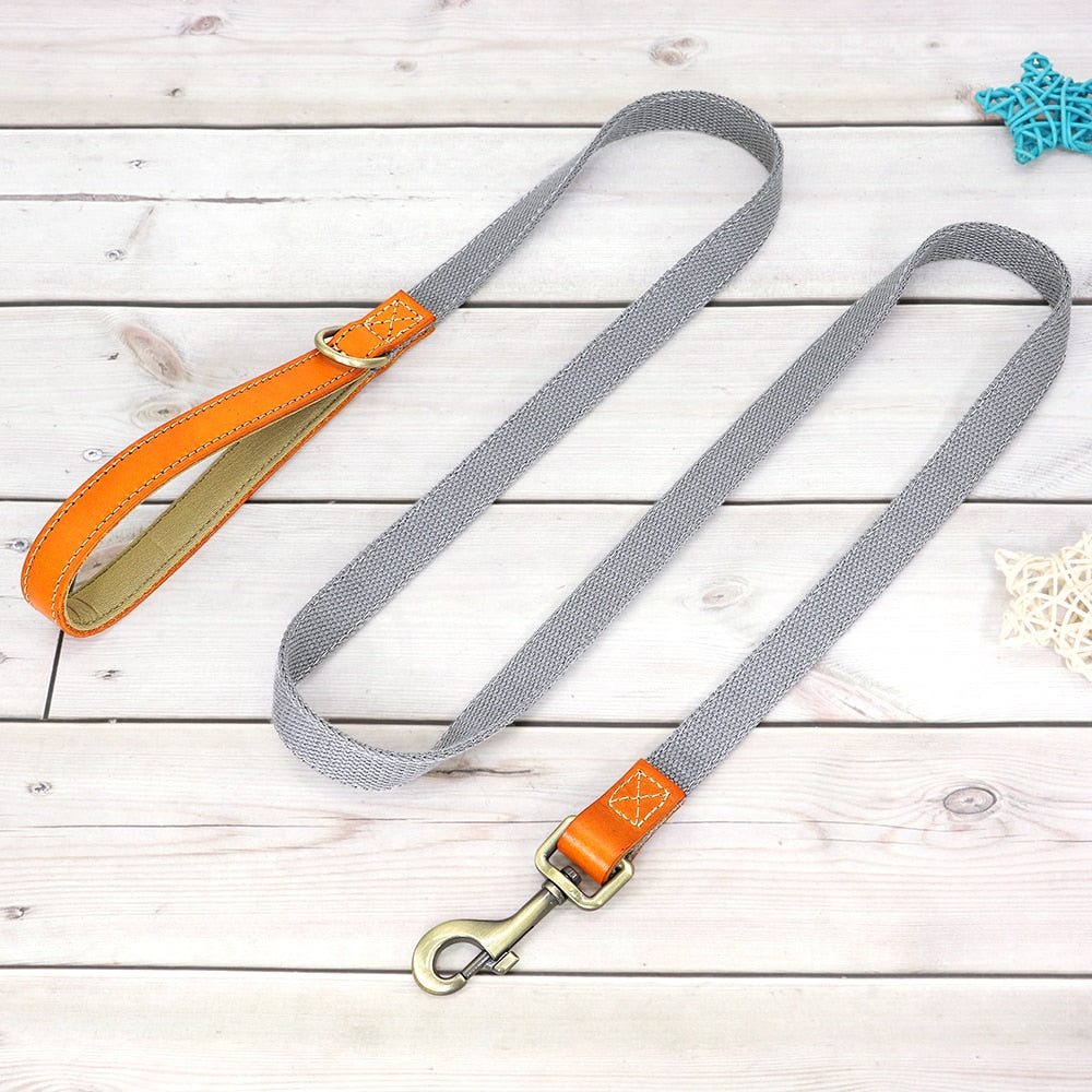 Custom Genuine Leather & Nylon Collar / Leash