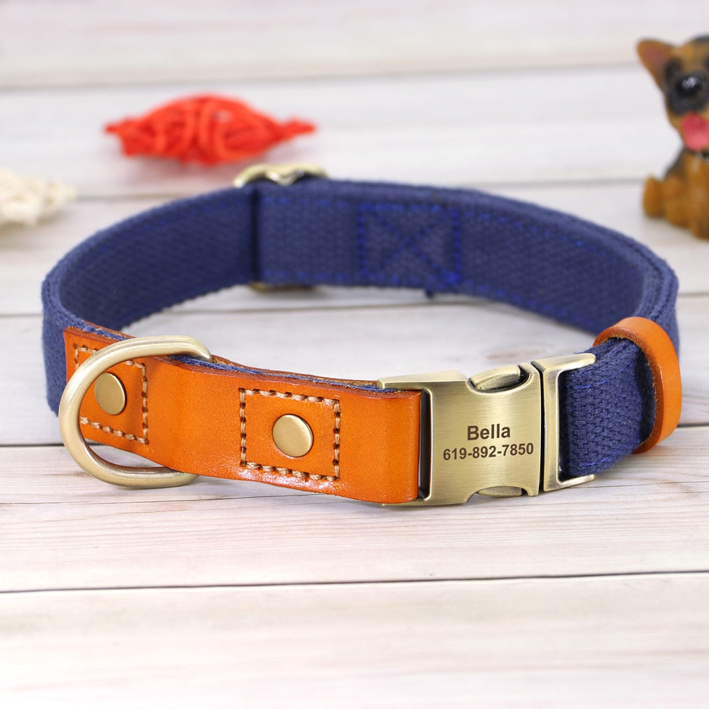 Custom Genuine Leather & Nylon Collar / Leash