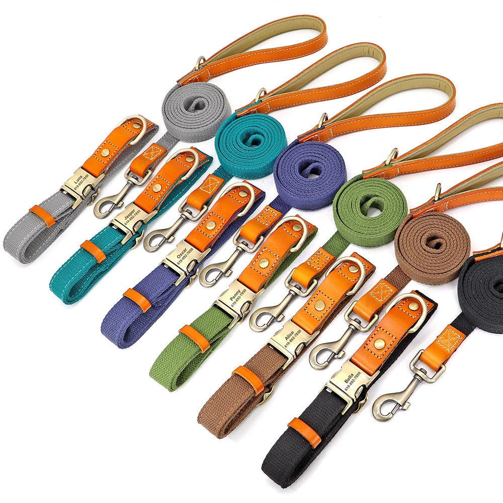 Custom Genuine Leather & Nylon Collar / Leash