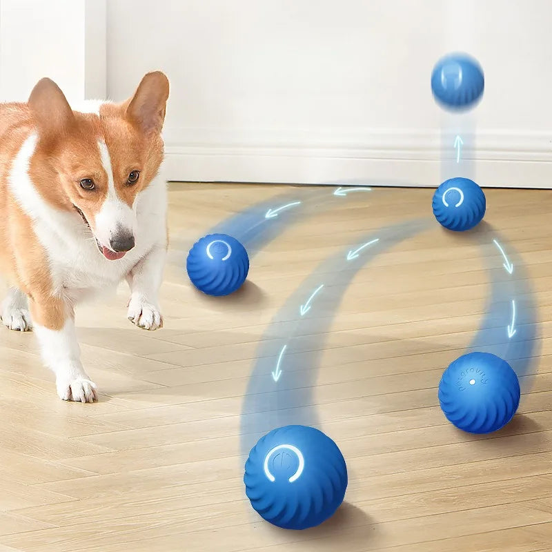 Interactive Puppy Ball
