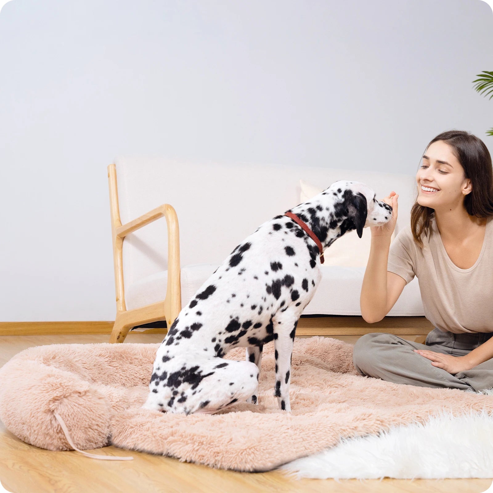 Dog Sofa Blanket 