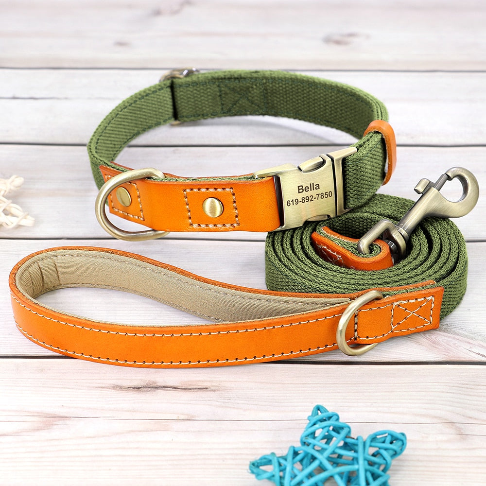 Custom Genuine Leather & Nylon Collar / Leash