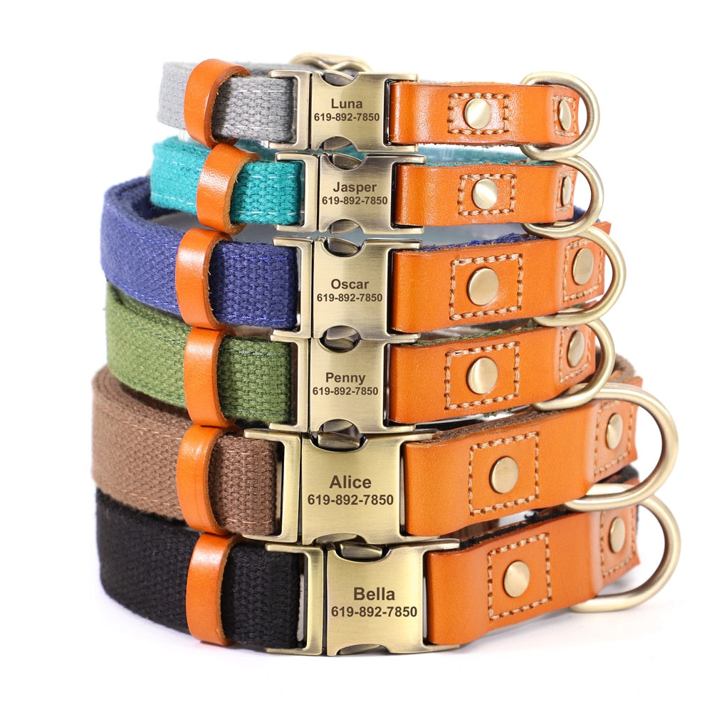 Custom Genuine Leather & Nylon Collar / Leash