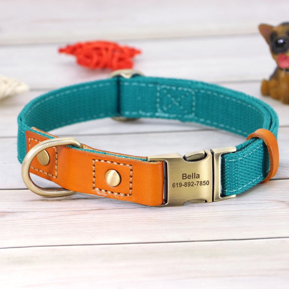 Custom Genuine Leather & Nylon Collar / Leash