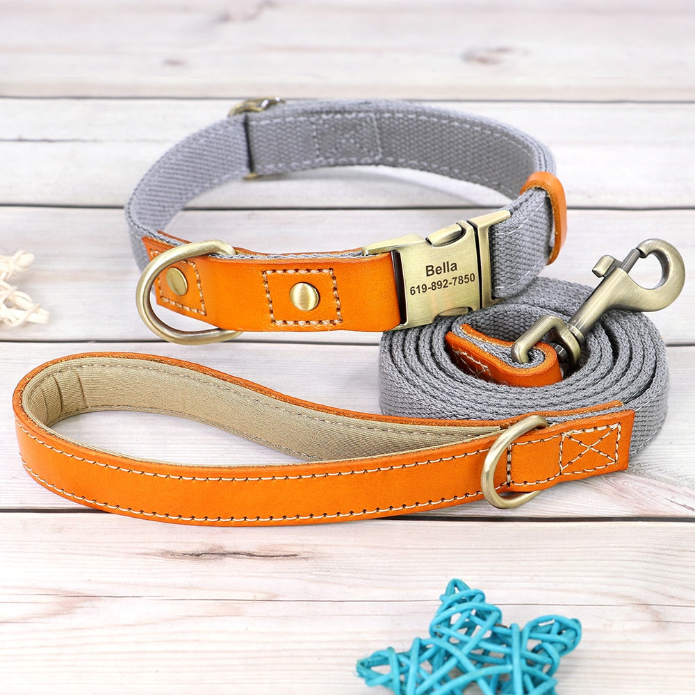 Custom Genuine Leather & Nylon Collar / Leash