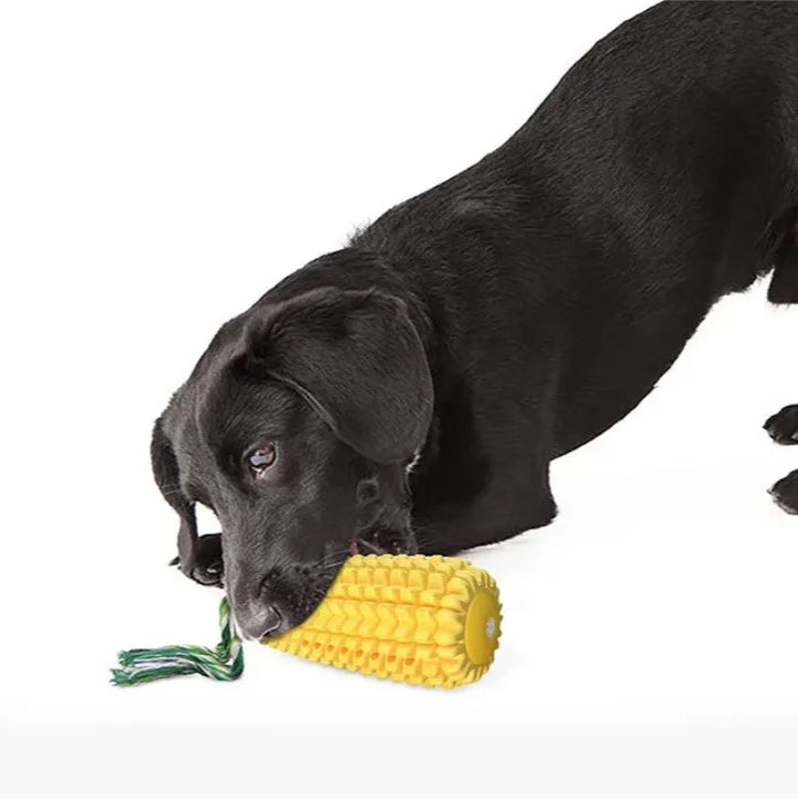 Corn on the Cob Chew Toy