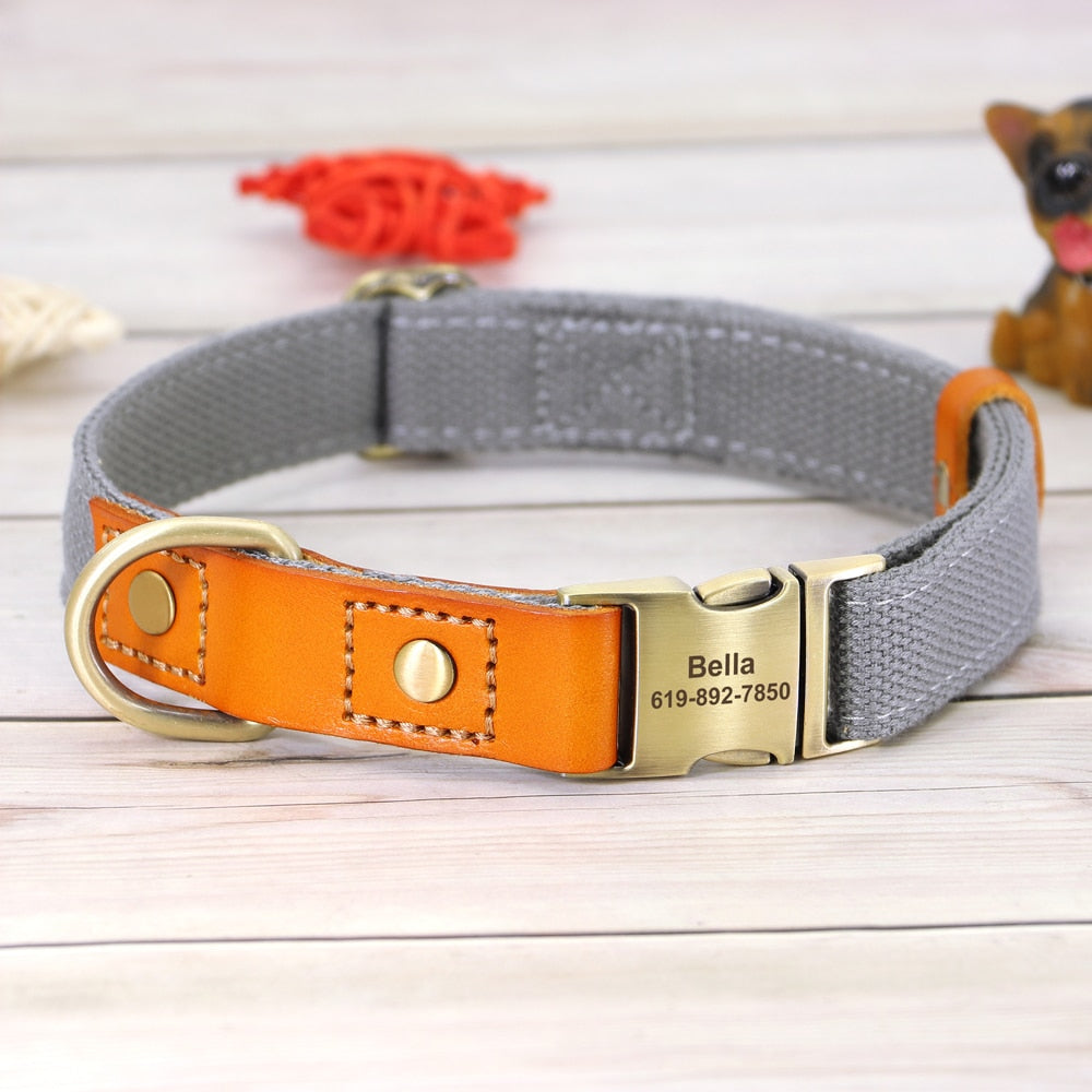 Custom Genuine Leather & Nylon Collar / Leash