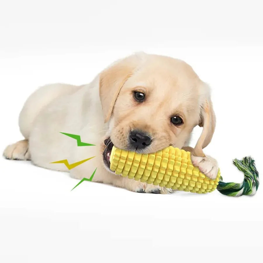 Corn on the Cob Chew Toy