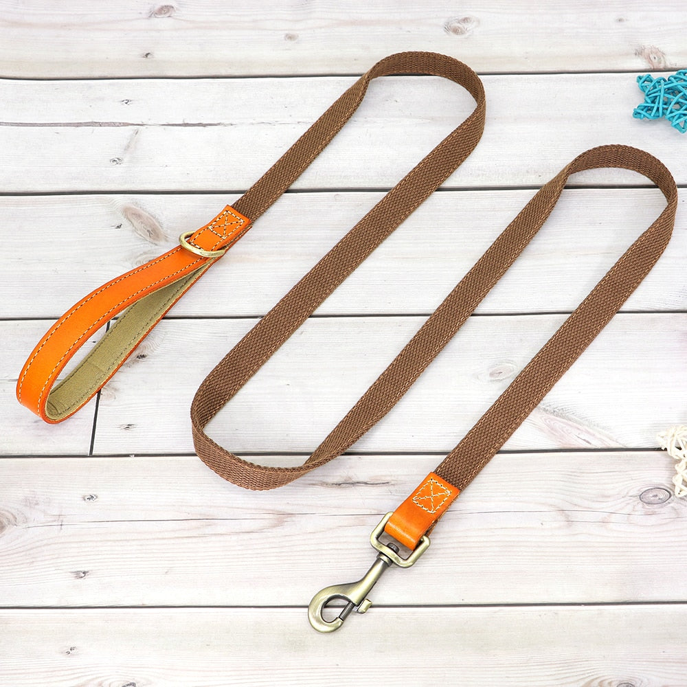 Custom Genuine Leather & Nylon Collar / Leash